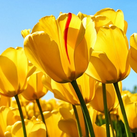 Meet your Posher, Beverly - Picture 1 of 1